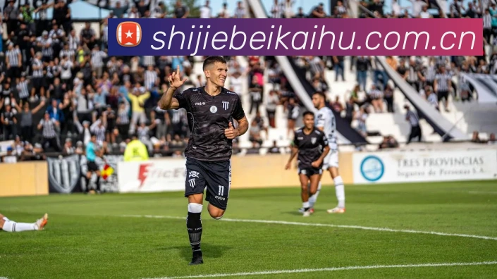 世界杯开户平台生态图